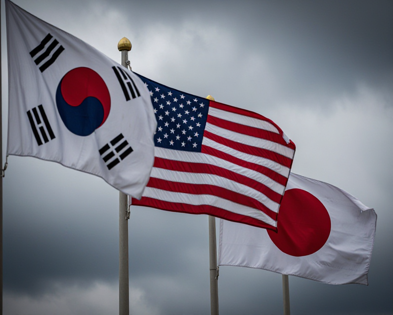 Diplomatic flags in Washington D.C.